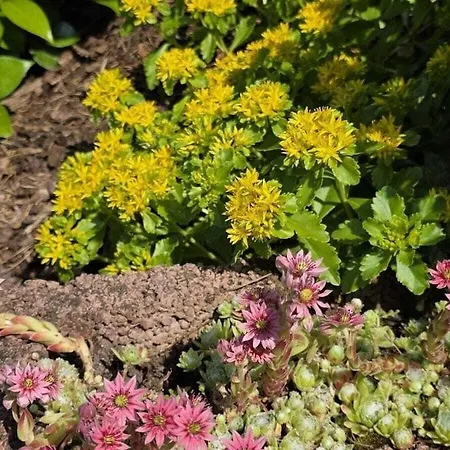 度假居 Korn Am Baerensteig Bruchweiler-Bärenbach