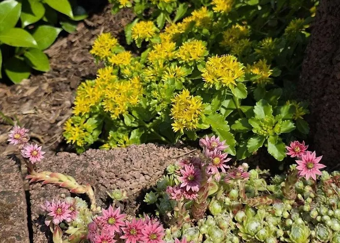 Casa de Férias Korn Am Baerensteig Bruchweiler-Barenbach