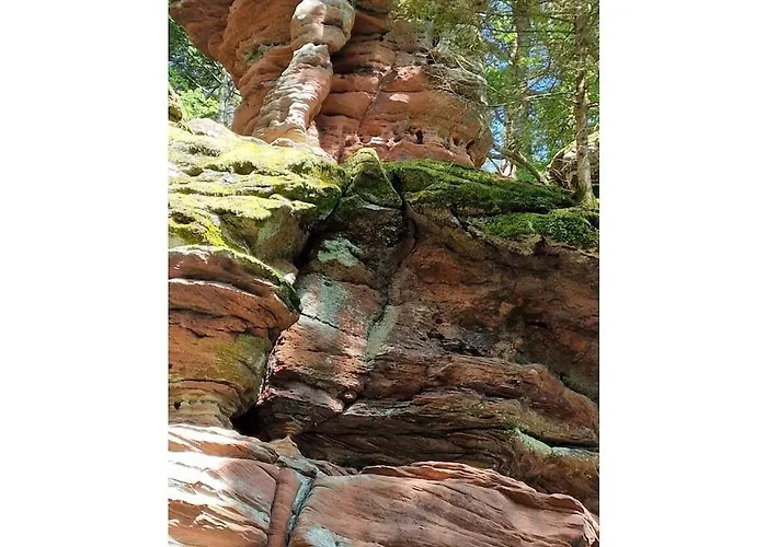 度假居 Korn Am Baerensteig *