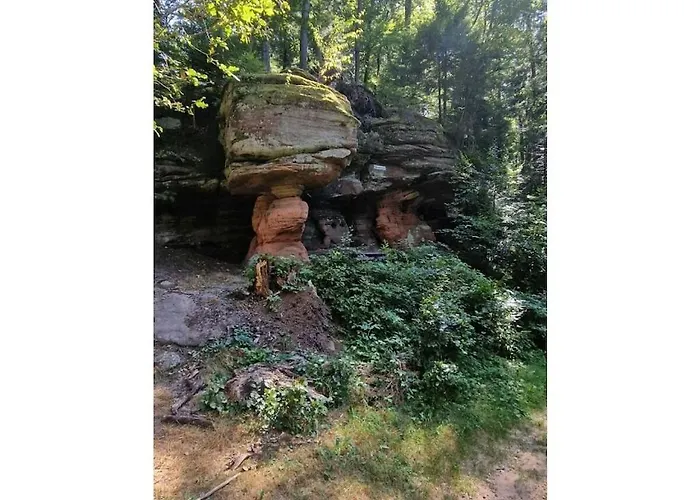 Korn Am Baerensteig *