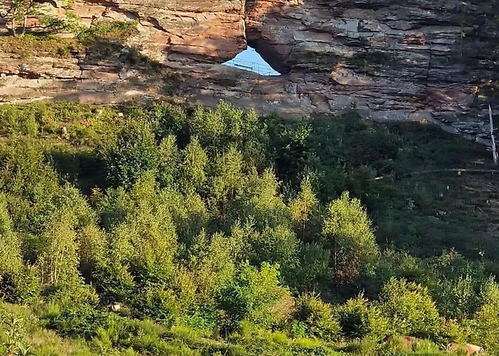 Korn Am Baerensteig * Bruchweiler-Barenbach